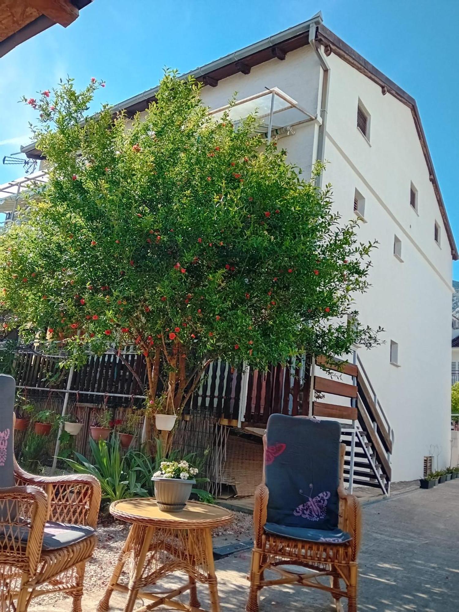 Apartments Vidic Orebic Exterior photo